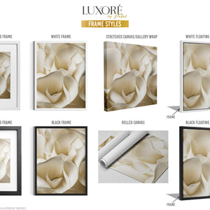 Luxoré Goldfish and Garden Delight