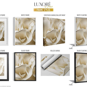 Frame style options for artwork, including mounted, floating, and rolled canvas designs in black and white.