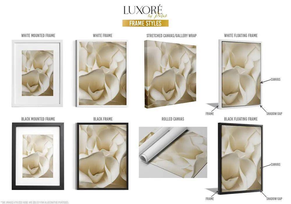 Frames Selection