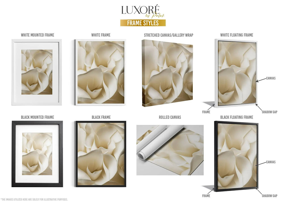 Types of Frames