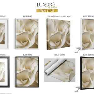 Types of Frames