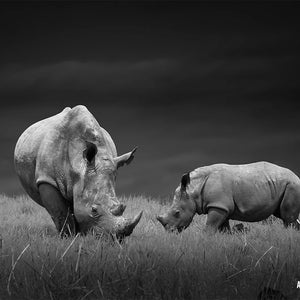 Luxoré Celebrating the Majesty of Rhinos in the Wild Digital Art